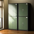 Modern Green Wardrobe With Glass Doors And Black Frames In Sunlight 3d model