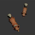 Two Cute 3D Cartoon Fox Models With Orange White Fur And Shiny Reflection