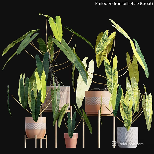 Decorative Plant Arrangement With Variegated Green Leaves In Ceramic Pots On Wooden Stands 3d model 