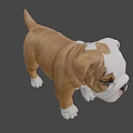 Realistic Brown And White Bulldog Puppy 3D Model With Standing Pose