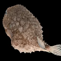 Spiky Brown Pufferfish Aquatic Animal With Large Eyes And Detailed Body Texture