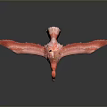 Graceful Red Flamingo Standing With Spread Wings Against Black Background