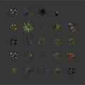 Various Small Plants of Different Types Arranged in Circle on White Background