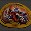 Human Heart Anatomical Model With Red Blue Blood Vessels On Yellow Base