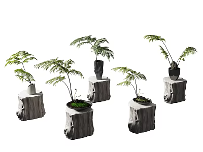 Bonsai Potted Fern Plants with Green Leafy Foliage on Natural Tree Stump Bases 3d model