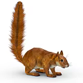 Reddish Brown Squirrel With Fluffy Long Tail On White Isolated Background 3d model