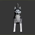 Gray and White Husky Dog With Blue Eyes Standing in Realistic 3D Rendered Pose