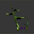 Unique Decorative Plant With Curved Green Stems Lush Leaves and Small Purple Fruits