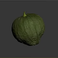 Organic Fresh Green Round Pumpkin With Textured Skin And Yellow Stem