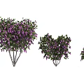 Heart Shaped Trees With Purple Flowers And Green Leaves In Three Sizes