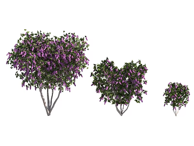 Heart Shaped Trees With Purple Flowers And Green Leaves In Three Sizes 3d model