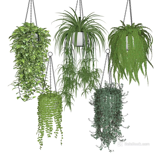 Lush Hanging Basket Plants with Trailing Greenery for Stylish Indoor Home Decor Ideas 3d model 