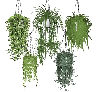 Modern hanging basket green plant hanging basket potted plant green plant ornaments 3d model