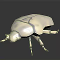 Metallic Silver Beetle Figurine With Water Droplets On Smooth Black Surface Showing Reflective Base Details