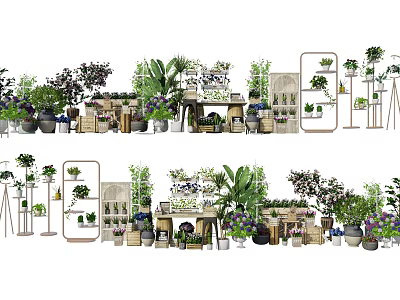 Various Bonsai and Potted Plants in Decorative Pots on Wooden Shelves Indoor 3d model