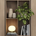 Wooden Storage Shelves With Green Plants Books White Decorative Ornaments And Lamp