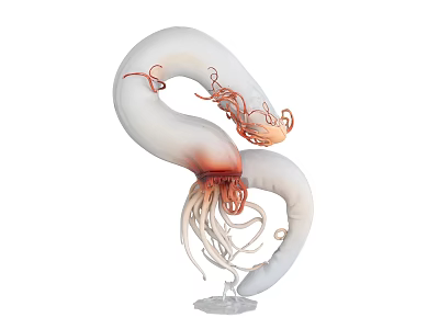 Abstract Biological Sculpture With White Curved Form And Red Orange Tentacles On Transparent Base 3d model