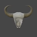 Game Movie Character Bull Skull With Large Horns White Bone And Gray Gradient Background