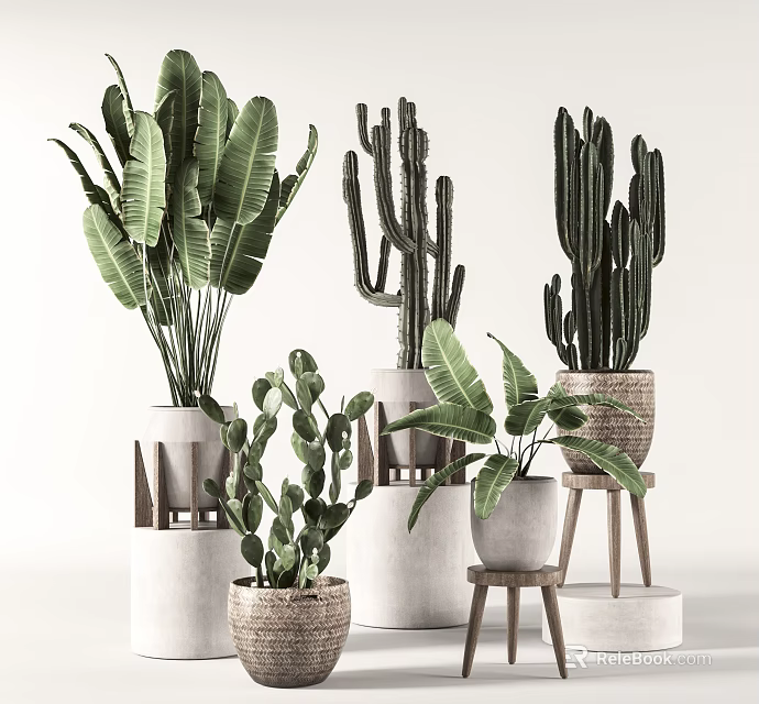 Indoor Decorative Potted Plants With Greenery In Ceramic Woven Pots And Wooden Stands 3d model 