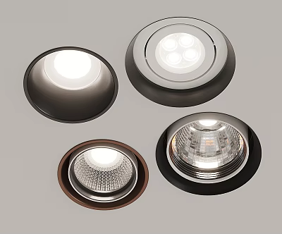 Different Designs Of Downlights And Spotlights With Black Brown Frames For Home Ceiling Lighting 3d model