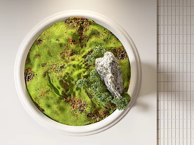 Green Plant Wall with Moss Small Plants Stone and White Pot Against White Tiled Wall 3d model