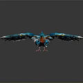Blue Bird With Spread White Edged Wings Orange Beak And Red Feet On Dark Background