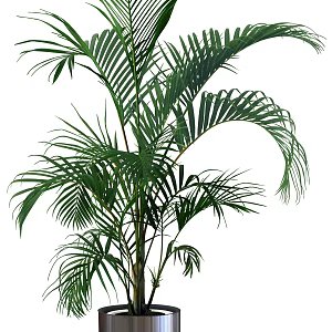 potted plant 3d model