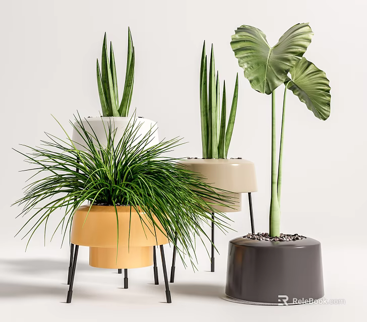 Lush Indoor Decorative Potted Green Plants With Various Leaves And Colored Pots On Stands 3d model 