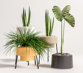 modern potted plant potted plant 3d model