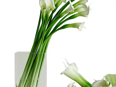 White Calla Lilies Arranged In Transparent Square Vase With Scattered Blooms 3d model