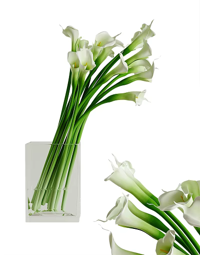 White Calla Lilies Arranged In Transparent Square Vase With Scattered Blooms 3d model