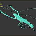 Brown Aquatic Animal Shrimp With Long Antennae And Extended Claws