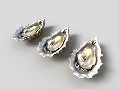 Three Fresh Plump Open Oysters with Golden Flesh on Gray Background 3d model