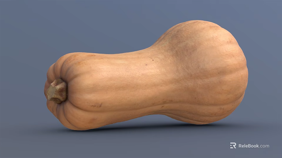 Fresh Butternut Squash Vegetable Isolated On Blue Background With Smooth Skin And Natural Texture 3d model 