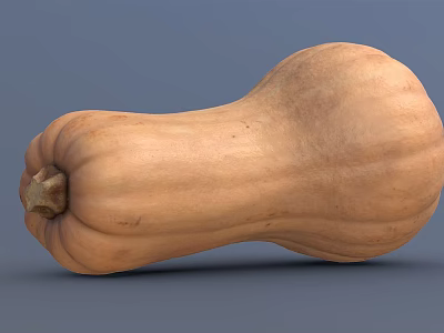 Fresh Butternut Squash Vegetable Isolated On Blue Background With Smooth Skin And Natural Texture 3d model