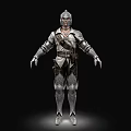 Man in Medieval Armor 3D Model with Standing Pose and Metallic Details