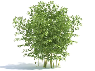 Shower Sauna Space Design With Lush Green Bamboo Elements For Natural Relaxation 3d model