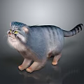 Fluffy Blue Gray Striped Cat With Yellow Eyes In Standing Pose On Gray Background