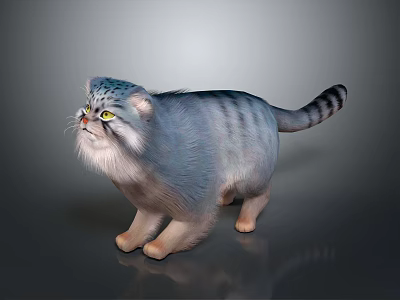 Fluffy Blue Gray Striped Cat With Yellow Eyes In Standing Pose On Gray Background 3d model