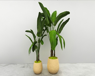 green plant 3d model