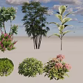 Diverse Plant Combinations With Green Foliage Flowering Shrubs And Large Leaves