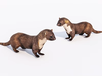 Detailed Brown Reptiles With White Bellies Standing On White Background 3d model