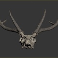 Modern Skull Goat Skull Animal Skull Fossil Skull 3d model