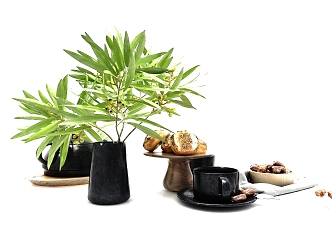 STYLE PLANTS 3d model