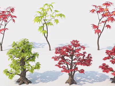 Modern Tree Landscape Tree 3d model
