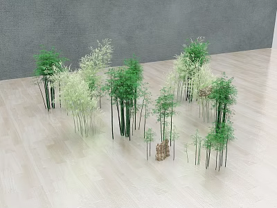 Various Bamboo Plants With Different Heights And Green Leaves In Indoor Space 3d model