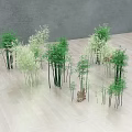 Various Bamboo Plants With Different Heights And Green Leaves In Indoor Space