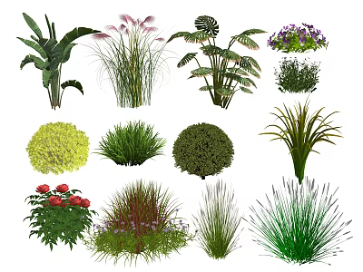 Diverse Garden Plant Combinations With Herbs Shrubs Flowering Plants Various Leaf Shapes And Colorful Blooms 3d model