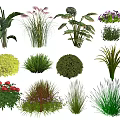 Diverse Garden Plant Combinations With Herbs Shrubs Flowering Plants Various Leaf Shapes And Colorful Blooms