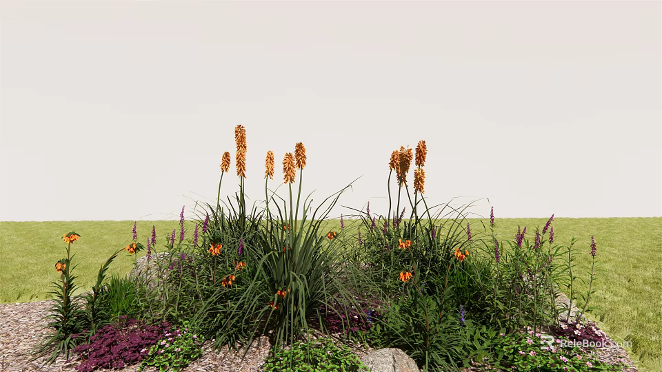 Orange Flowers with Slender Leaves Purple Blooms Green Grass Stones and Low Plants in Garden 3d model 